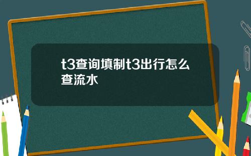 t3查询填制t3出行怎么查流水