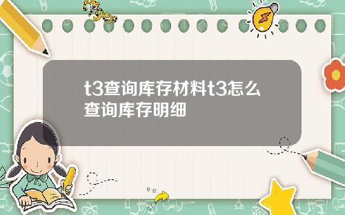 t3查询库存材料t3怎么查询库存明细