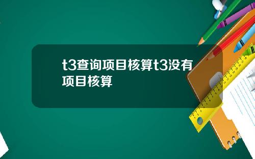 t3查询项目核算t3没有项目核算