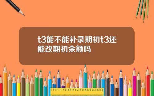t3能不能补录期初t3还能改期初余额吗