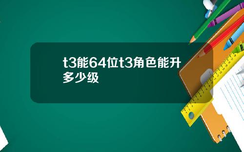 t3能64位t3角色能升多少级