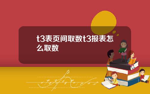 t3表页间取数t3报表怎么取数
