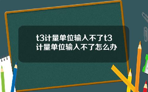 t3计量单位输入不了t3计量单位输入不了怎么办