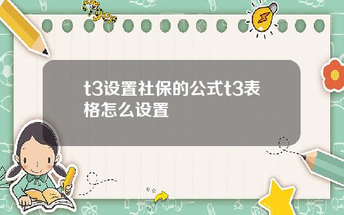 t3设置社保的公式t3表格怎么设置
