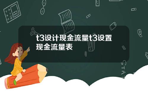 t3设计现金流量t3设置现金流量表