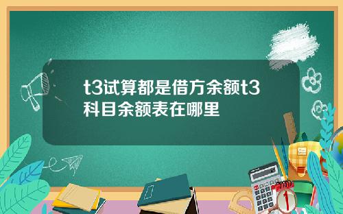t3试算都是借方余额t3科目余额表在哪里