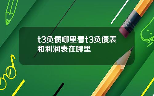 t3负债哪里看t3负债表和利润表在哪里