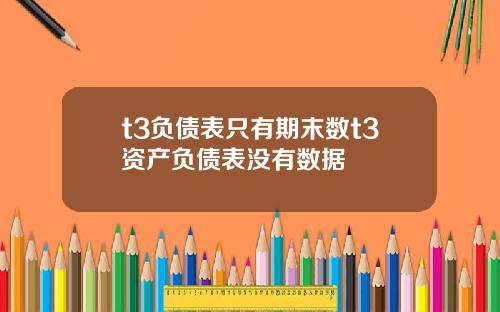 t3负债表只有期末数t3资产负债表没有数据