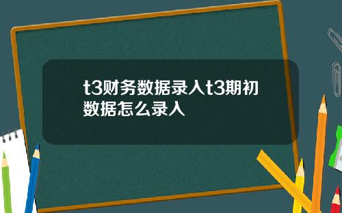 t3财务数据录入t3期初数据怎么录入