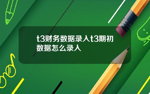 t3财务数据录入t3期初数据怎么录入
