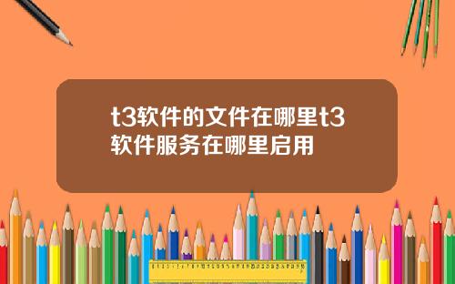 t3软件的文件在哪里t3软件服务在哪里启用