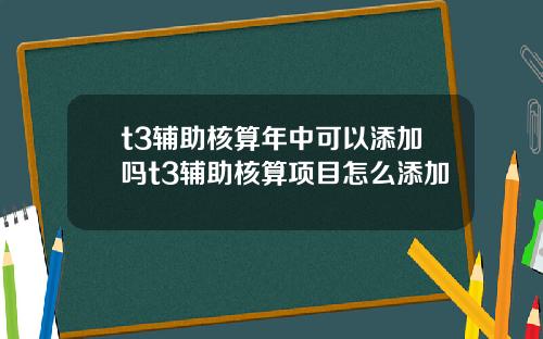 t3辅助核算年中可以添加吗t3辅助核算项目怎么添加