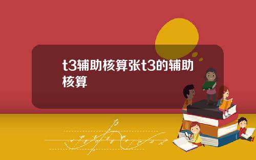 t3辅助核算张t3的辅助核算