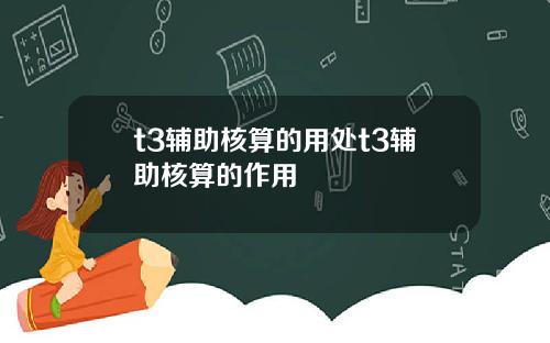 t3辅助核算的用处t3辅助核算的作用