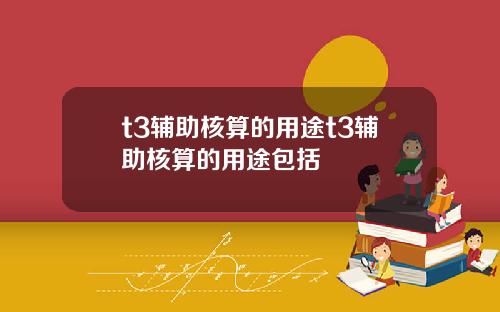 t3辅助核算的用途t3辅助核算的用途包括