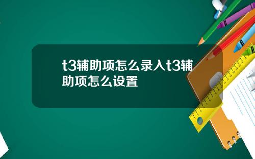 t3辅助项怎么录入t3辅助项怎么设置