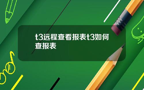 t3远程查看报表t3如何查报表