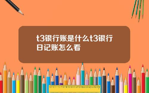 t3银行账是什么t3银行日记账怎么看