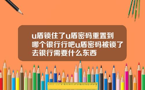 u盾锁住了u盾密码重置到哪个银行行吧u盾密码被锁了去银行需要什么东西
