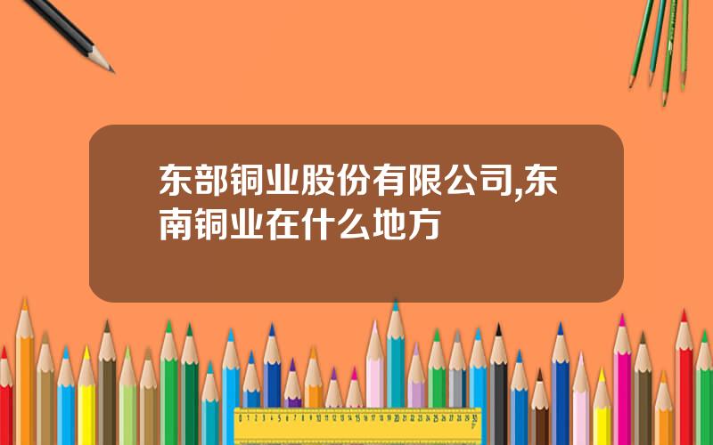 东部铜业股份有限公司,东南铜业在什么地方