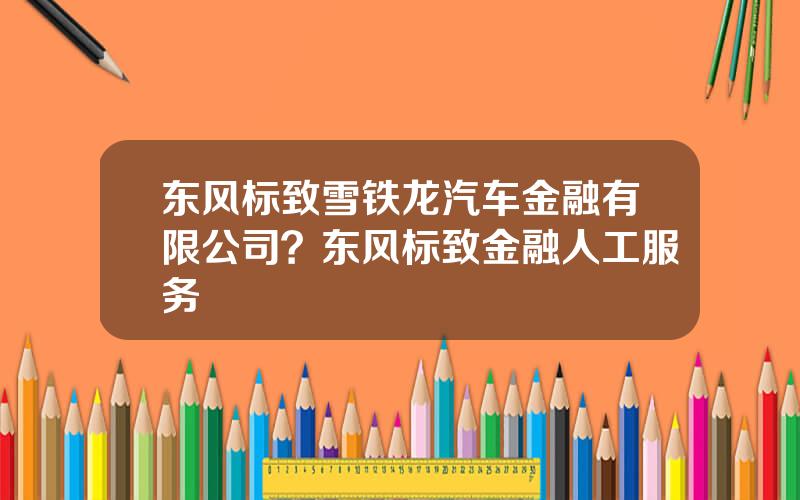 东风标致雪铁龙汽车金融有限公司？东风标致金融人工服务