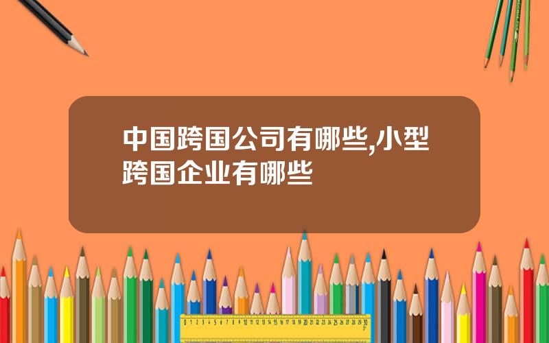 中国跨国公司有哪些,小型跨国企业有哪些