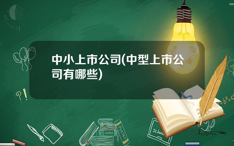 中小上市公司(中型上市公司有哪些)