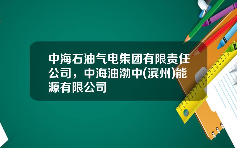 中海石油气电集团有限责任公司，中海油渤中(滨州)能源有限公司