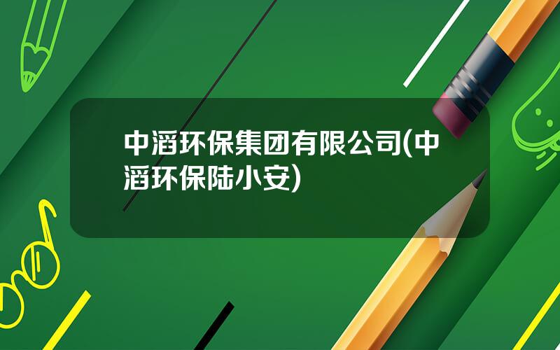 中滔环保集团有限公司(中滔环保陆小安)