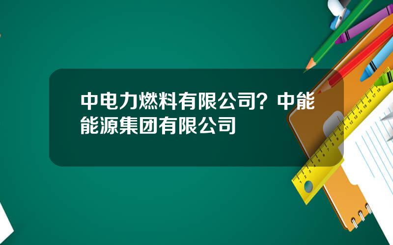中电力燃料有限公司？中能能源集团有限公司