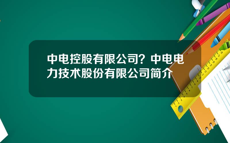 中电控股有限公司？中电电力技术股份有限公司简介