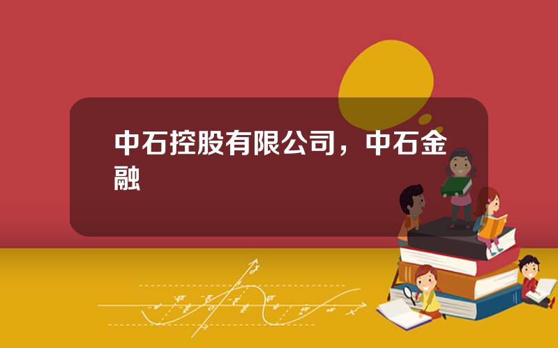 中石控股有限公司，中石金融