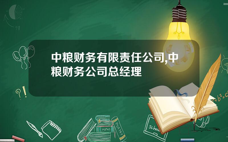 中粮财务有限责任公司,中粮财务公司总经理