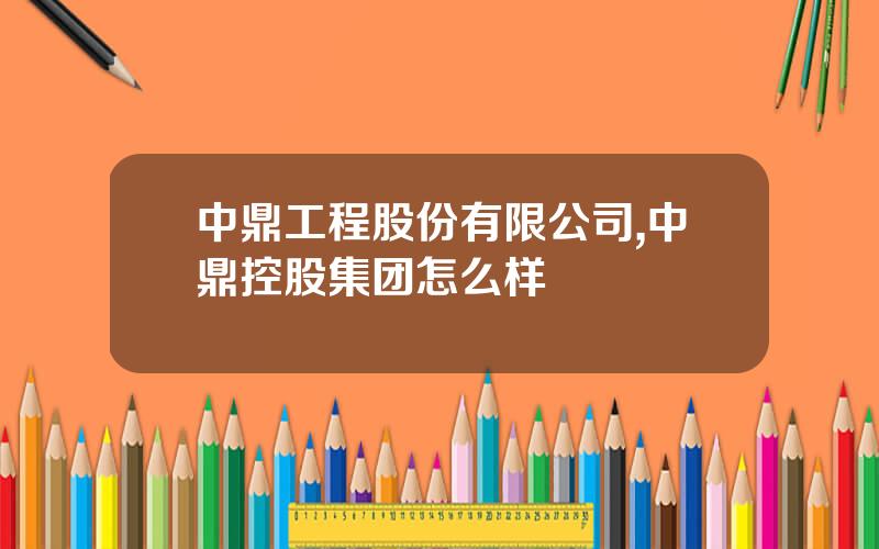 中鼎工程股份有限公司,中鼎控股集团怎么样