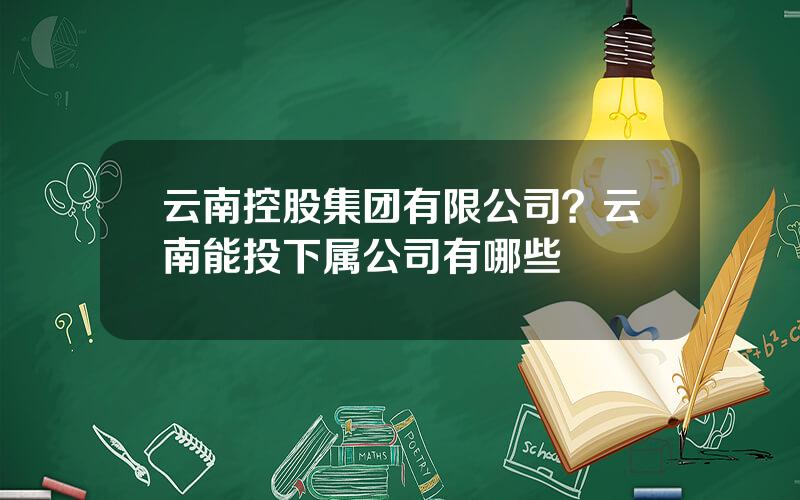 云南控股集团有限公司？云南能投下属公司有哪些