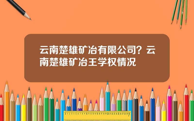 云南楚雄矿冶有限公司？云南楚雄矿冶王学权情况