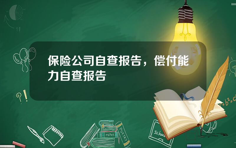 保险公司自查报告，偿付能力自查报告
