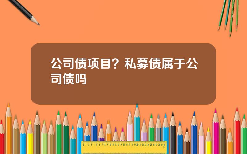 公司债项目？私募债属于公司债吗