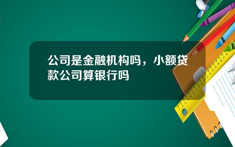 公司是金融机构吗，小额贷款公司算银行吗