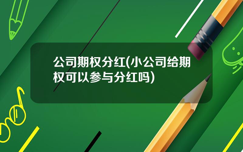 公司期权分红(小公司给期权可以参与分红吗)