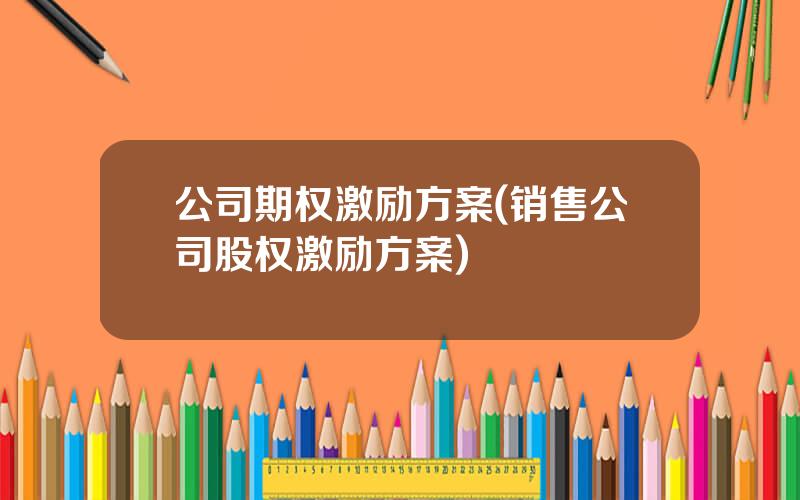 公司期权激励方案(销售公司股权激励方案)