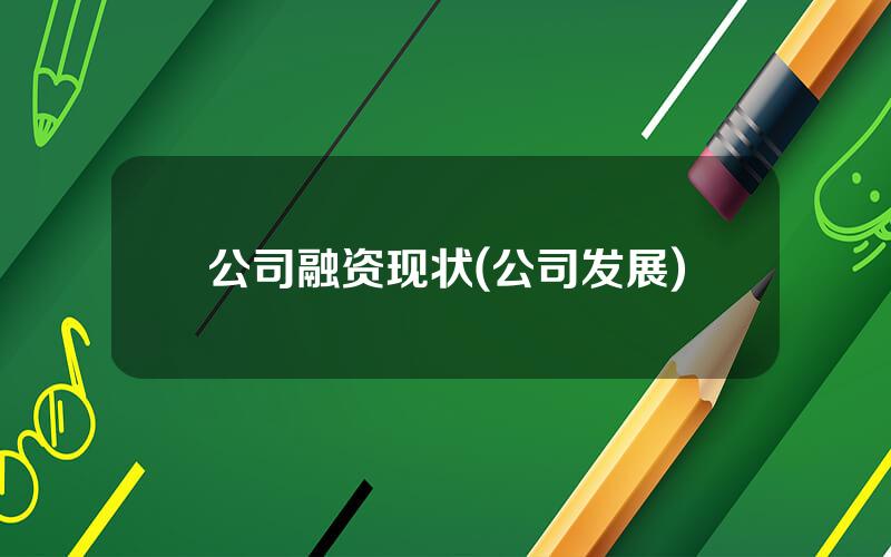公司融资现状(公司发展)