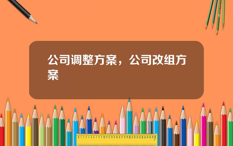 公司调整方案，公司改组方案