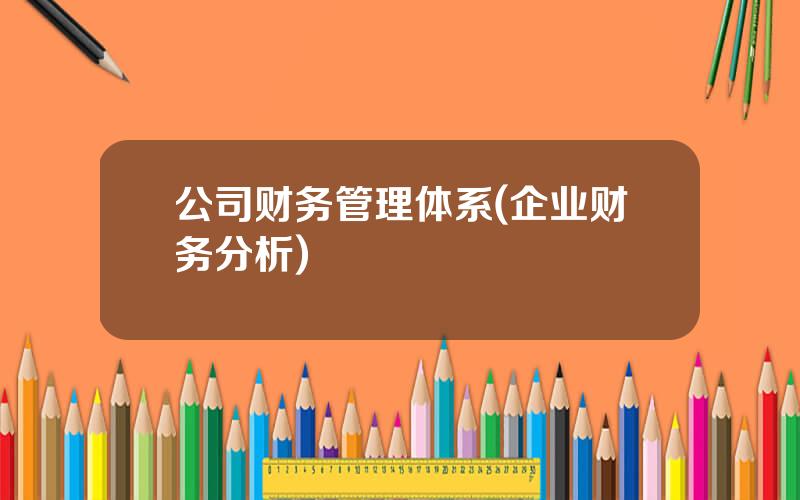 公司财务管理体系(企业财务分析)