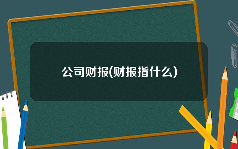 公司财报(财报指什么)