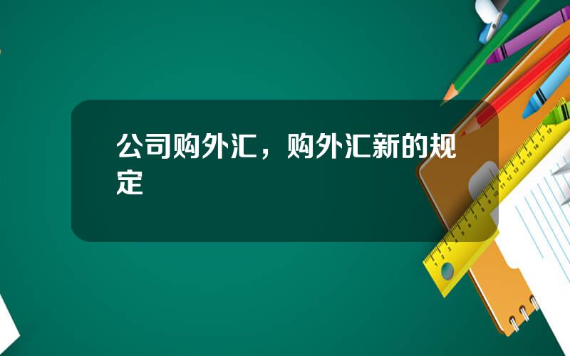 公司购外汇，购外汇新的规定