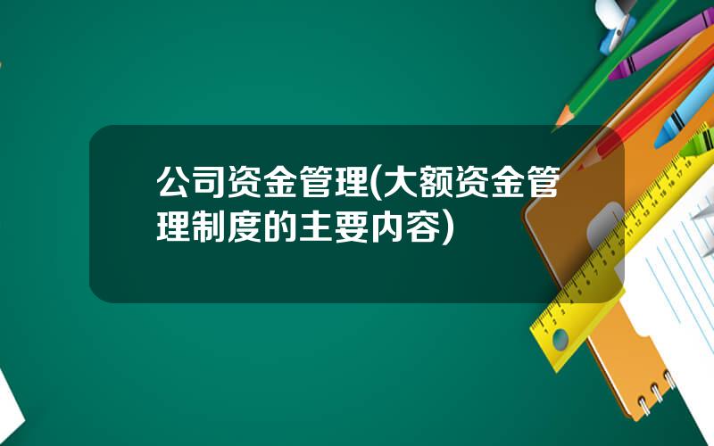 公司资金管理(大额资金管理制度的主要内容)