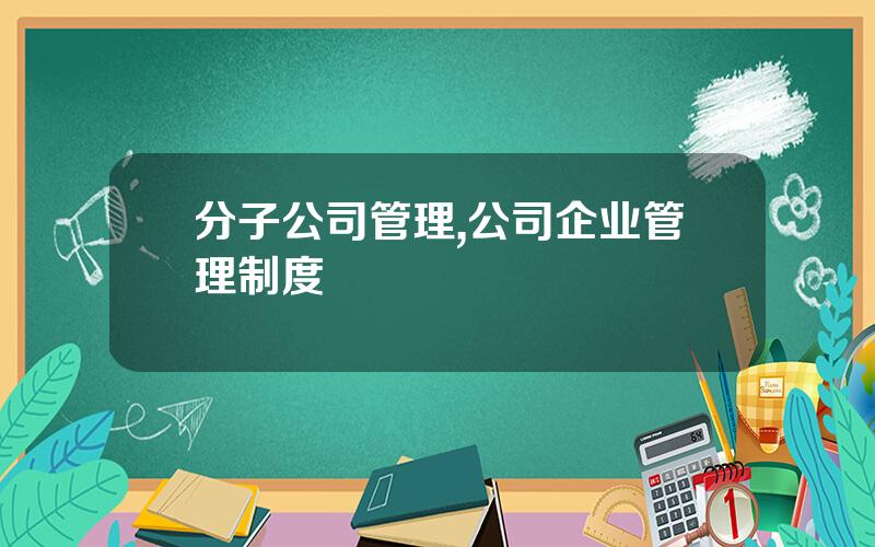分子公司管理,公司企业管理制度