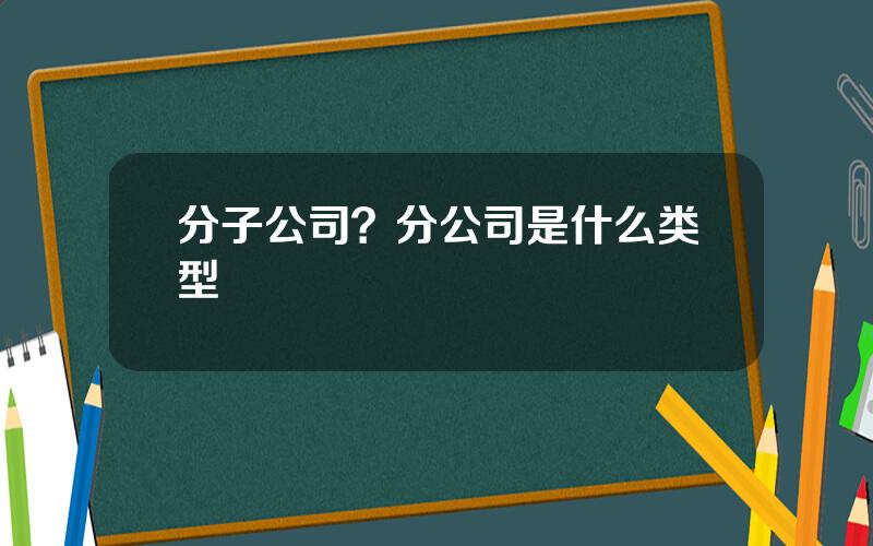 分子公司？分公司是什么类型