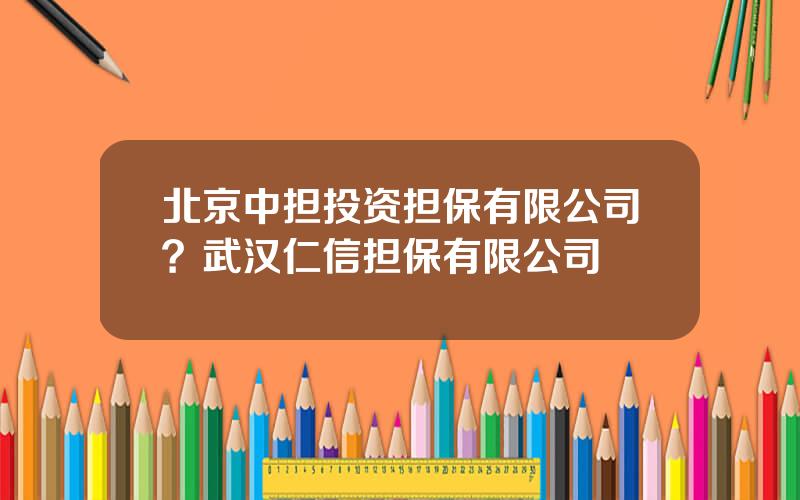 北京中担投资担保有限公司？武汉仁信担保有限公司
